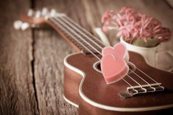 Romantic, flowers, heart, love, Valentines Day, guitar wallpaper