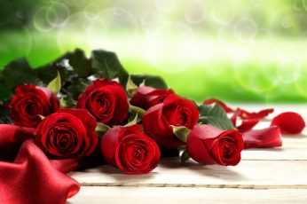 Red Roses Valentines Day wallpaper