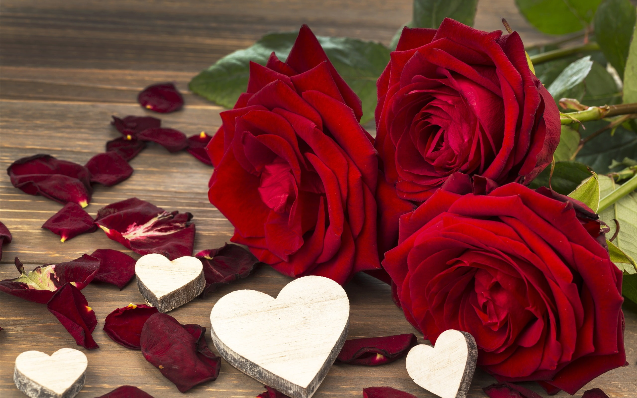Red rose, flowers, love, Valentine's day, three red flowers wallpaper