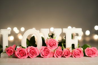 Red flowers, roses, white love, Valentine’s day wallpaper