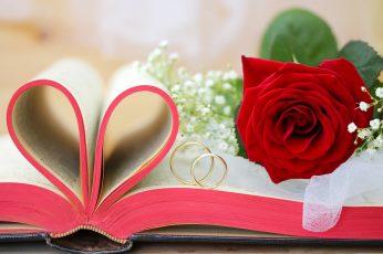 Red flowers, roses, Valentine’s Day, book, love hearts, rings wallpaper