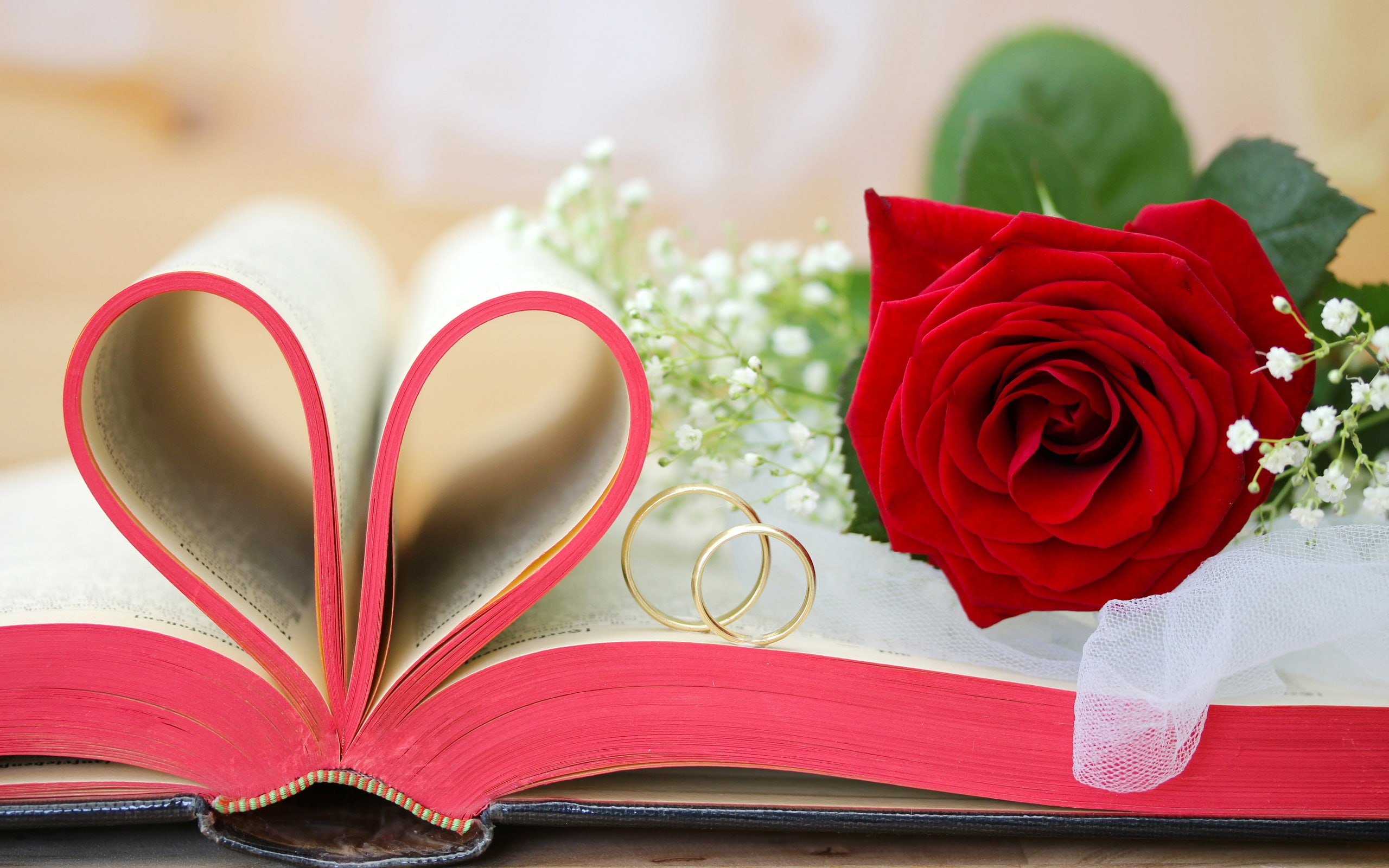 Red flowers, roses, Valentine's Day, book, love hearts, rings wallpaper