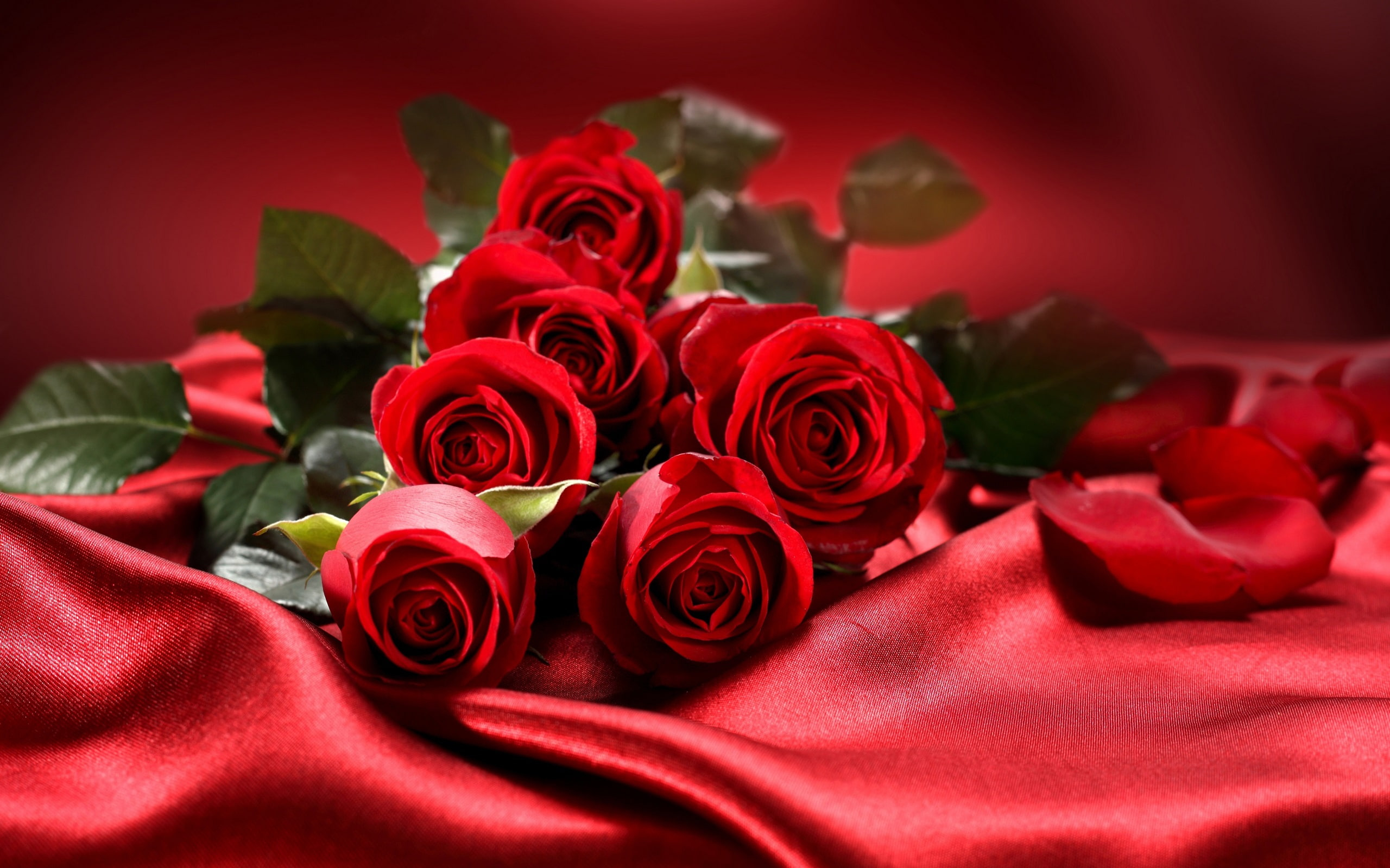 Bouquet flowers, red roses, love, Valentine’s Day wallpaper