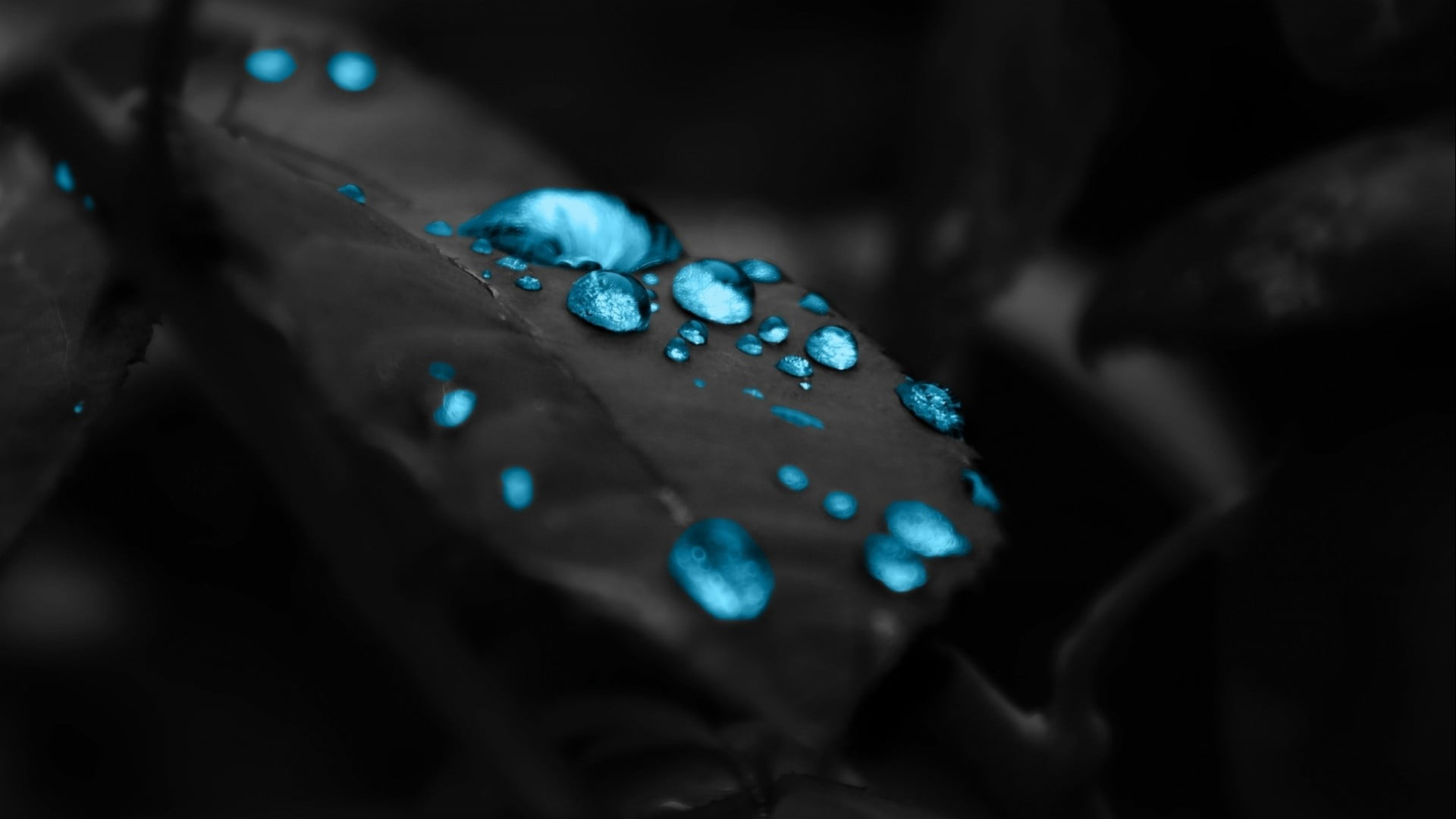 Blue water dew wallpaper, shallow focus photography of blue gemstone