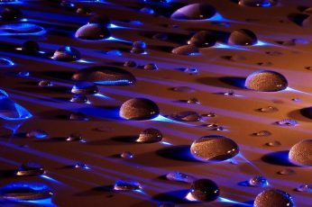 Wallpaper water dew, water droplets, water drops, macro, indoors, low angle view
