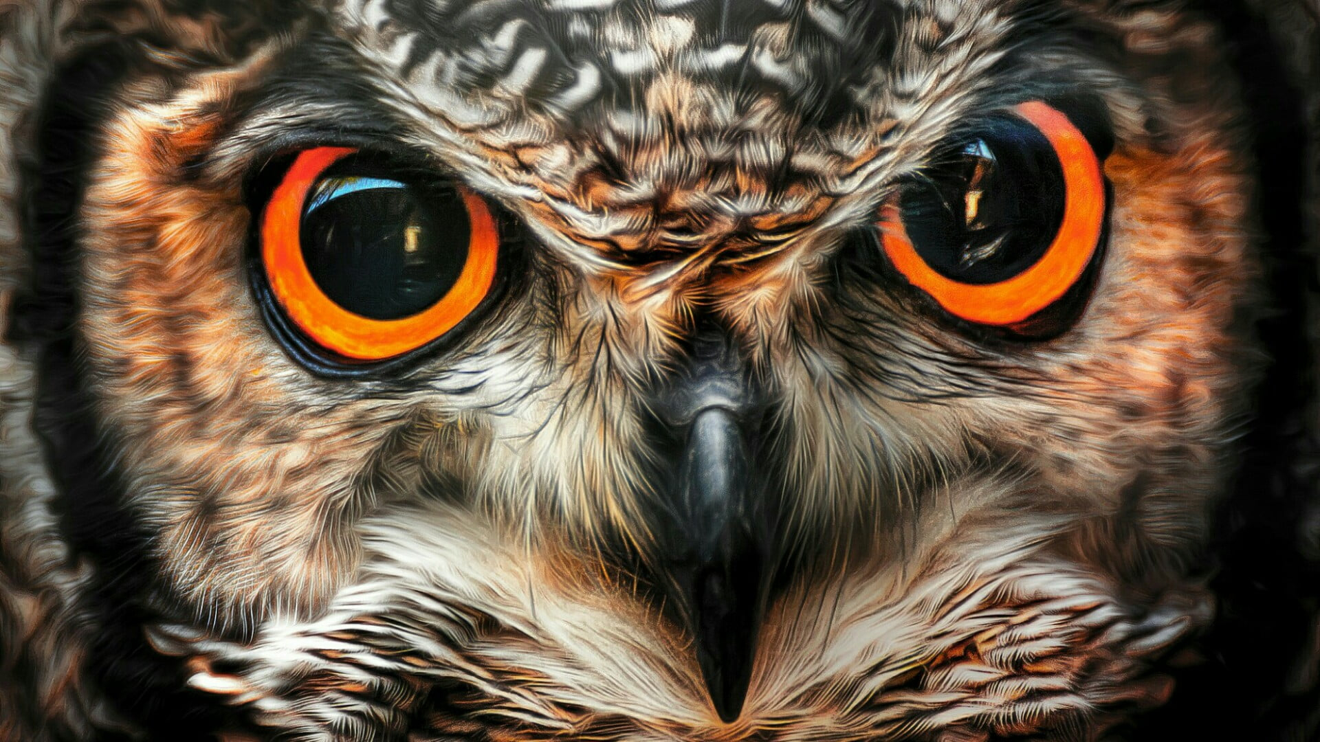 Wallpaper eagle owl, beak, fauna, close up, bird of prey, wildlife, eyes