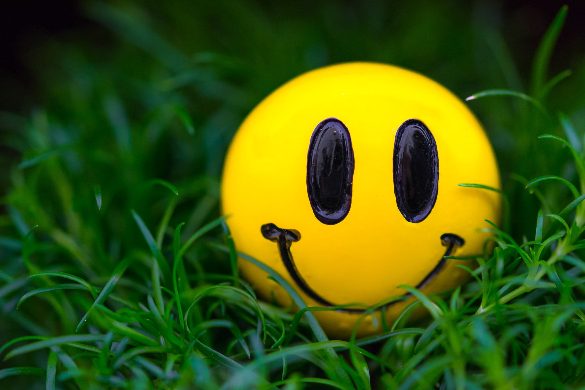 Yellow emoji ball wallpaper, grass, macro, smile, smiley, plant, close-up