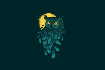 Owl animation wallpaper, digital art, minimalism, animals, feathers