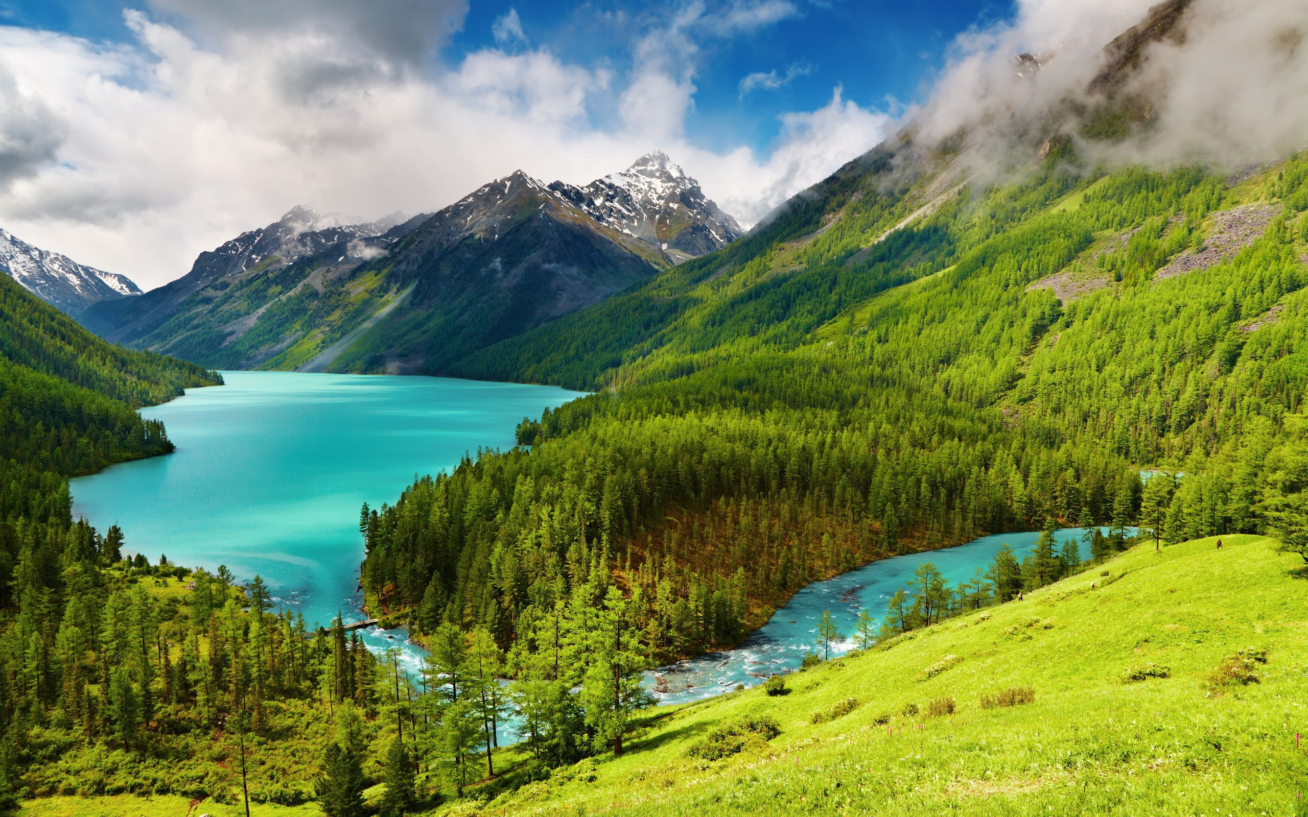 Photo of green trees and body of water wallpaper, nature, landscape, mountains