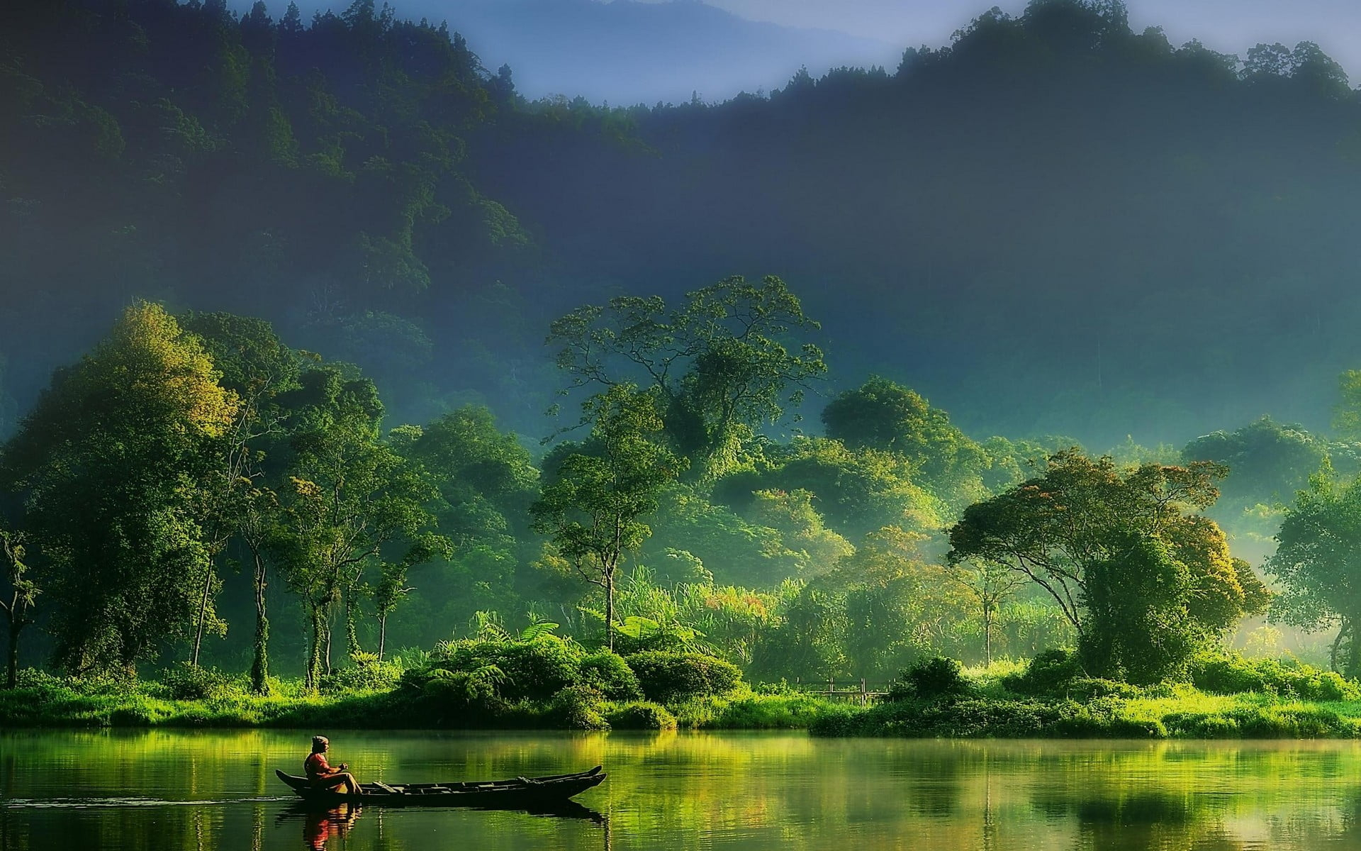 Green leafed tree wallpaper, nature, landscape, mist, forest, river, mountains