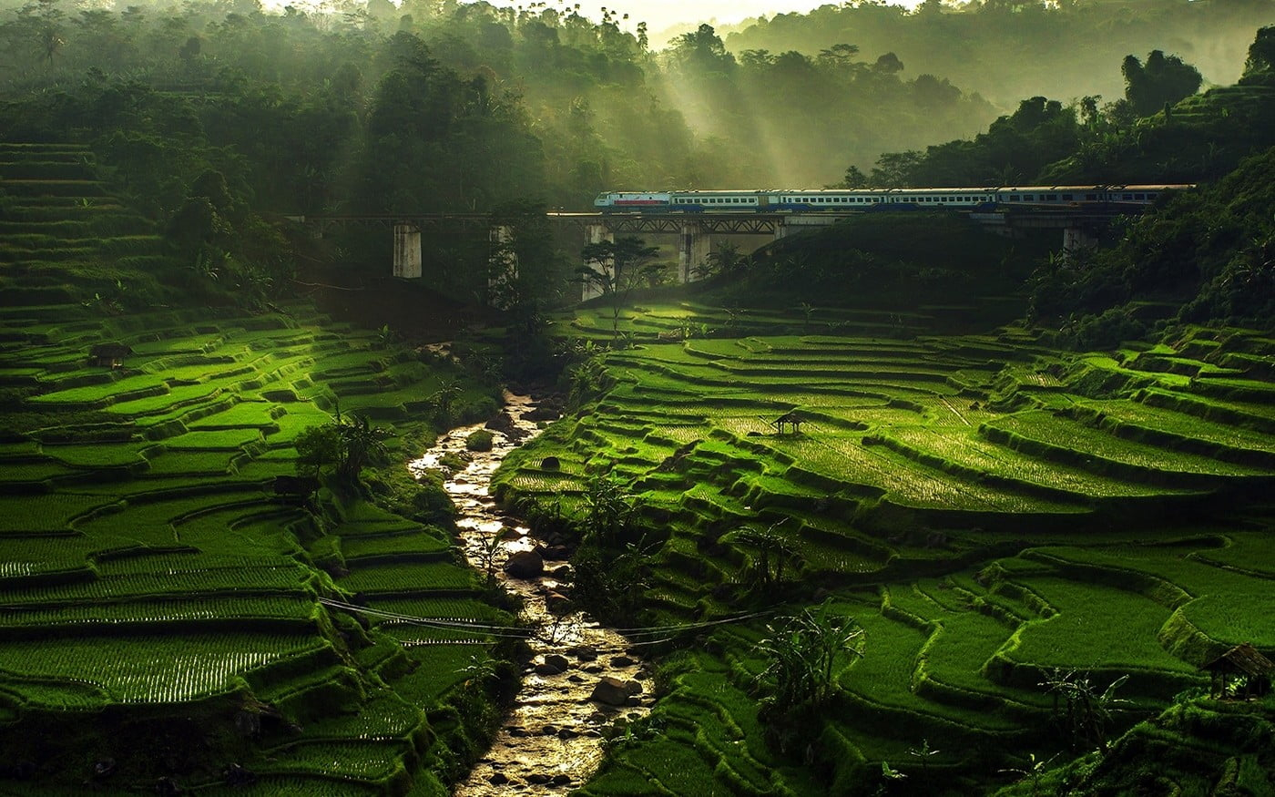 Hill landscape wallpaper, nature, rice paddy, river, sun rays, field, terraces