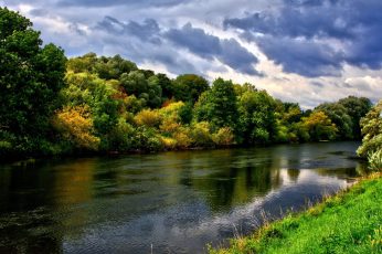 Body of water and green-leafed trees wallpaper, river, forest, nature, landscape