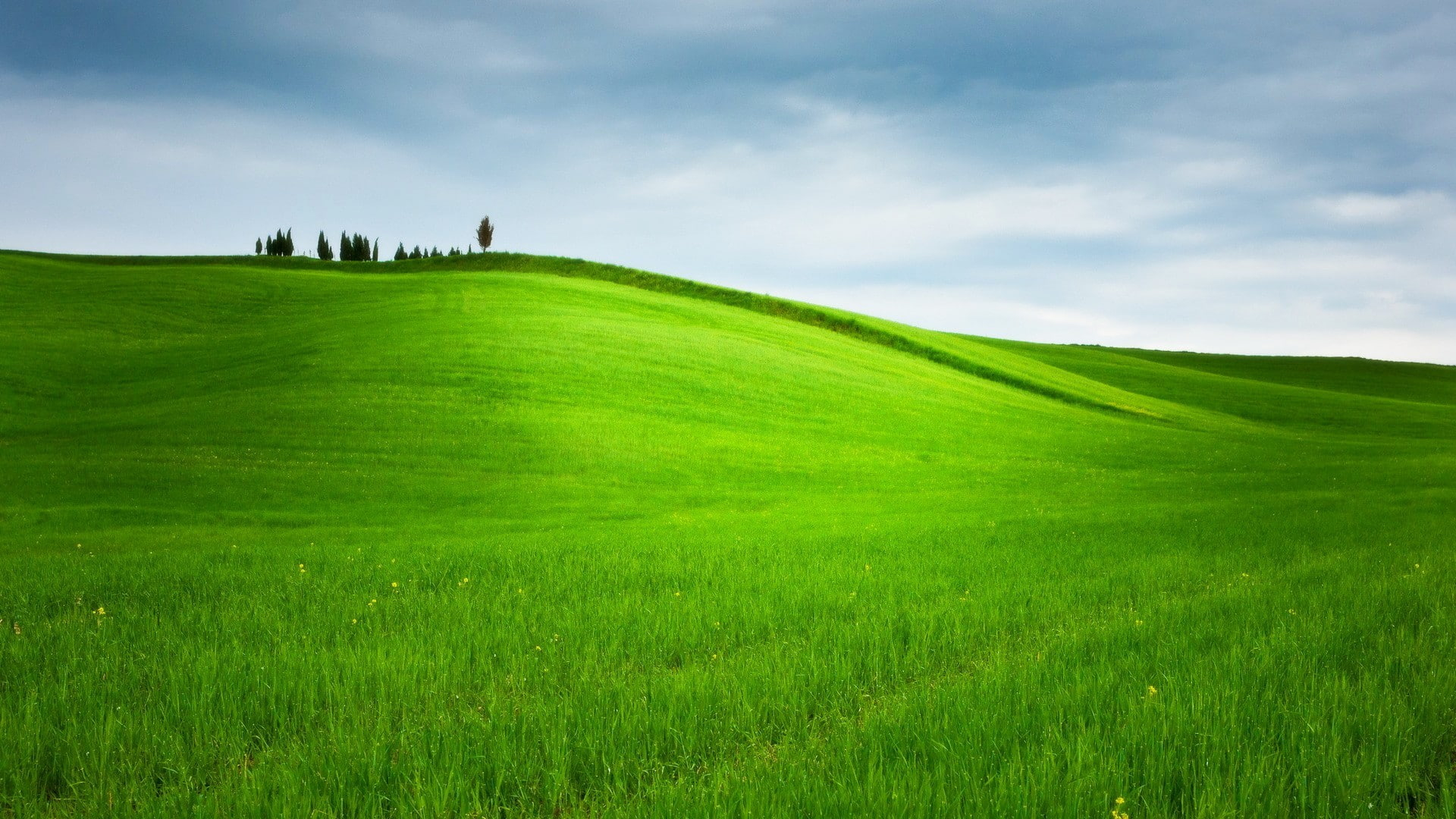 Hill wallpaper, Grass, Trees, Landscape, Nature, Field, Green