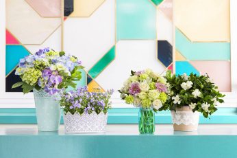 Pastel Flowers wallpaper, Holidays, Easter, Beautiful, Rose, Plant, Glass