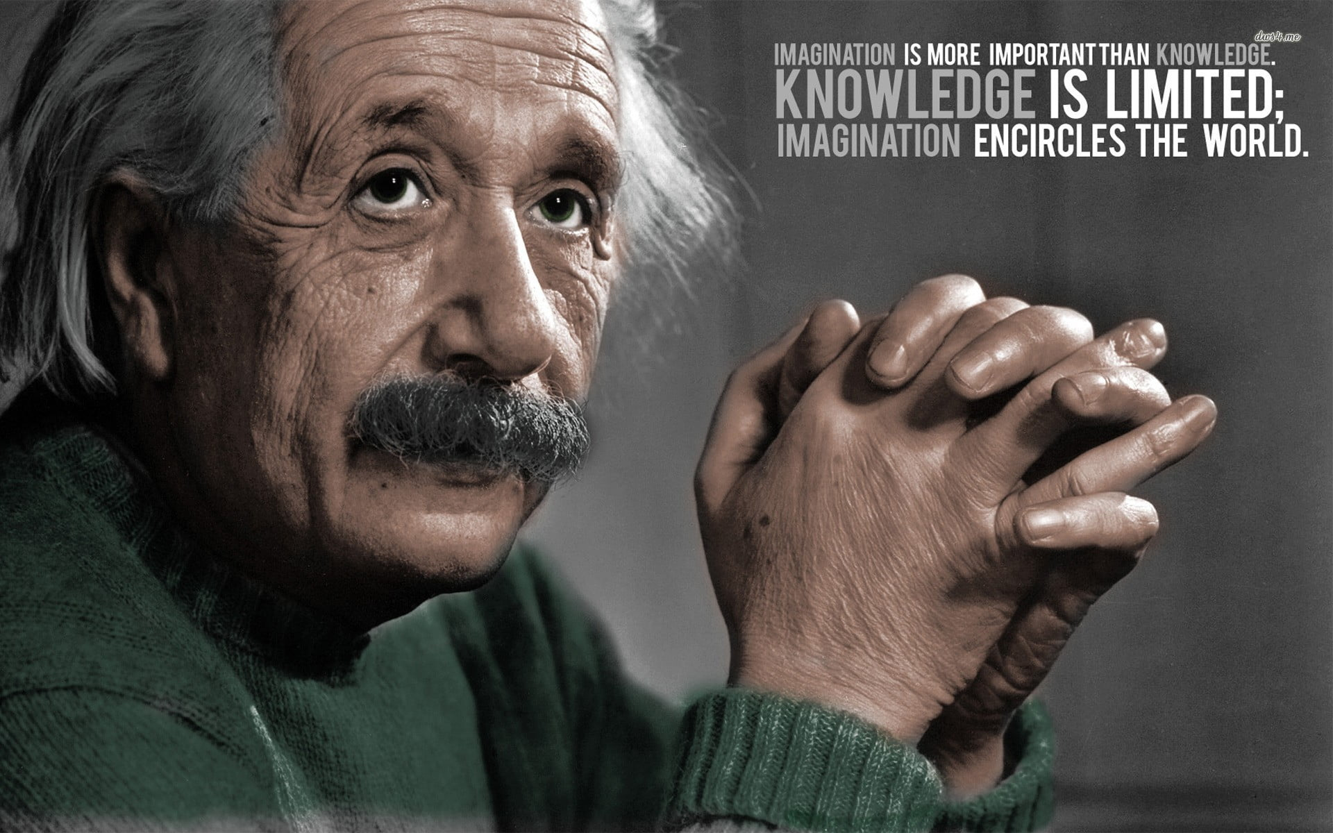 Albert Einstein wallpaper quote, one person, portrait, headshot, mature adult