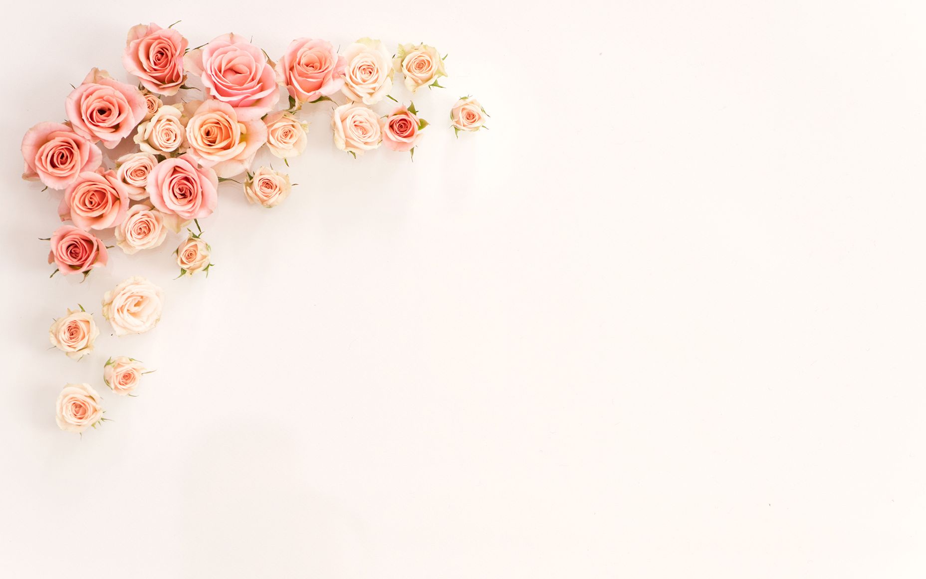 Rose gold wallpaper, flower, wedding, gift, romance