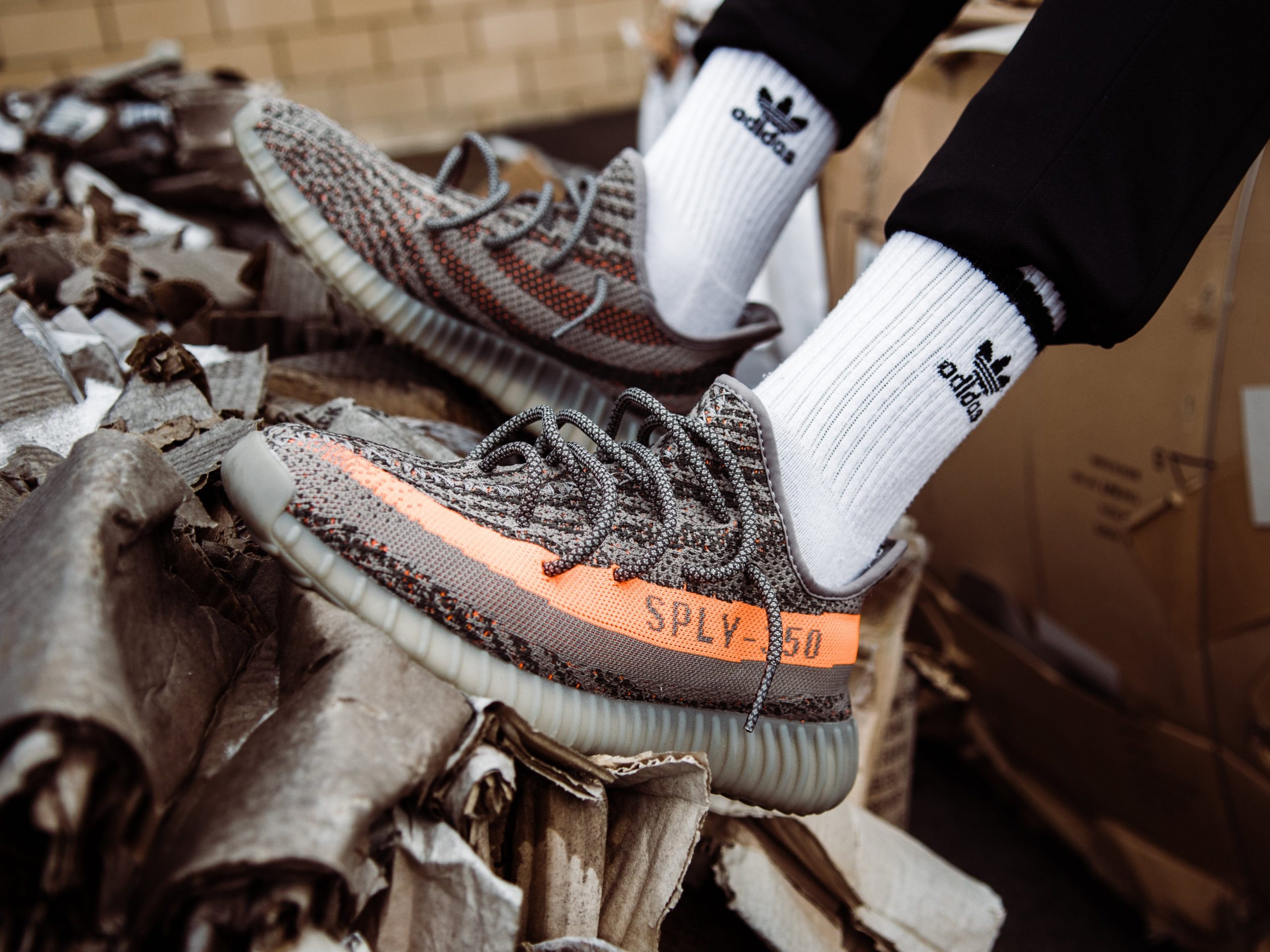 Beluga Adidas Yeezy Boost 350 V2 shoes wallpaper, person wearing orange Yeezy Boost 350 v2 sneakers