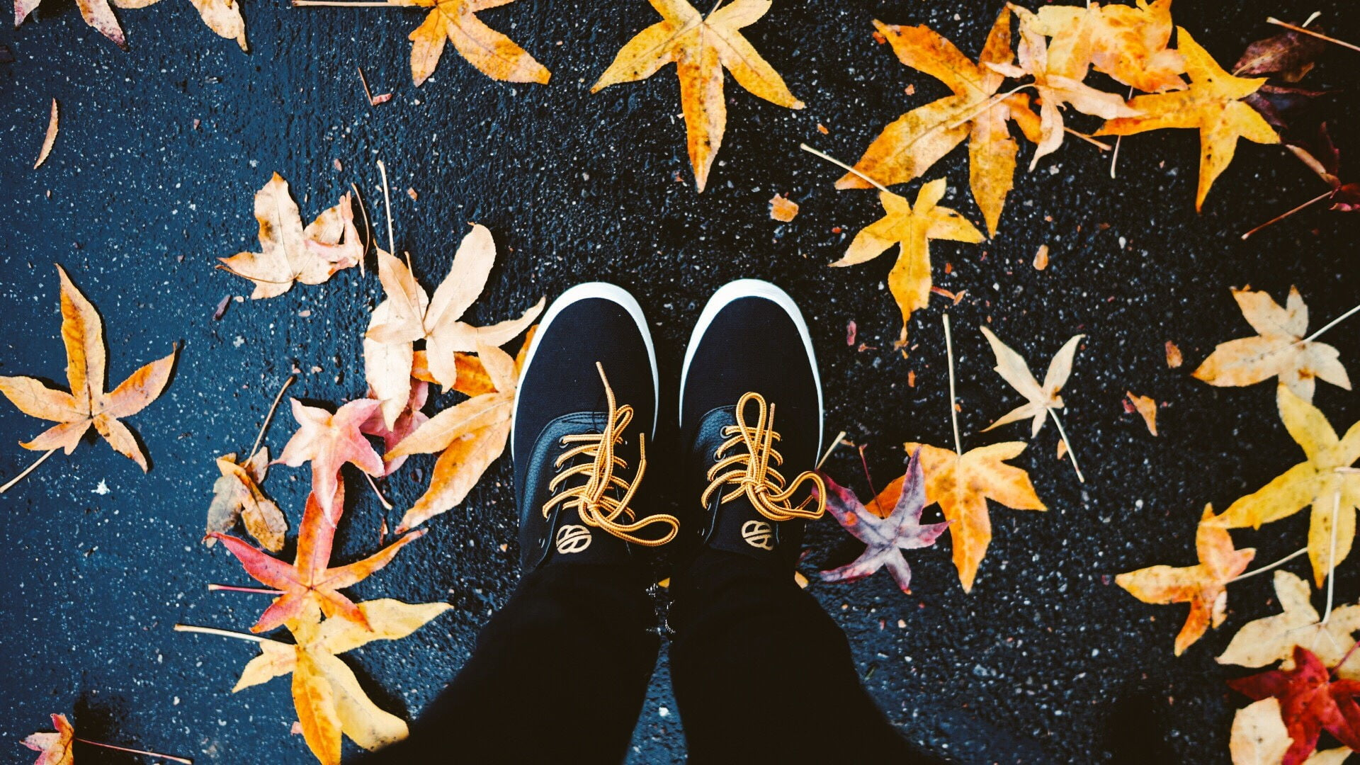 Pair of black-and-white low-top shoes, leaves, maple leaves, feet wallpaper