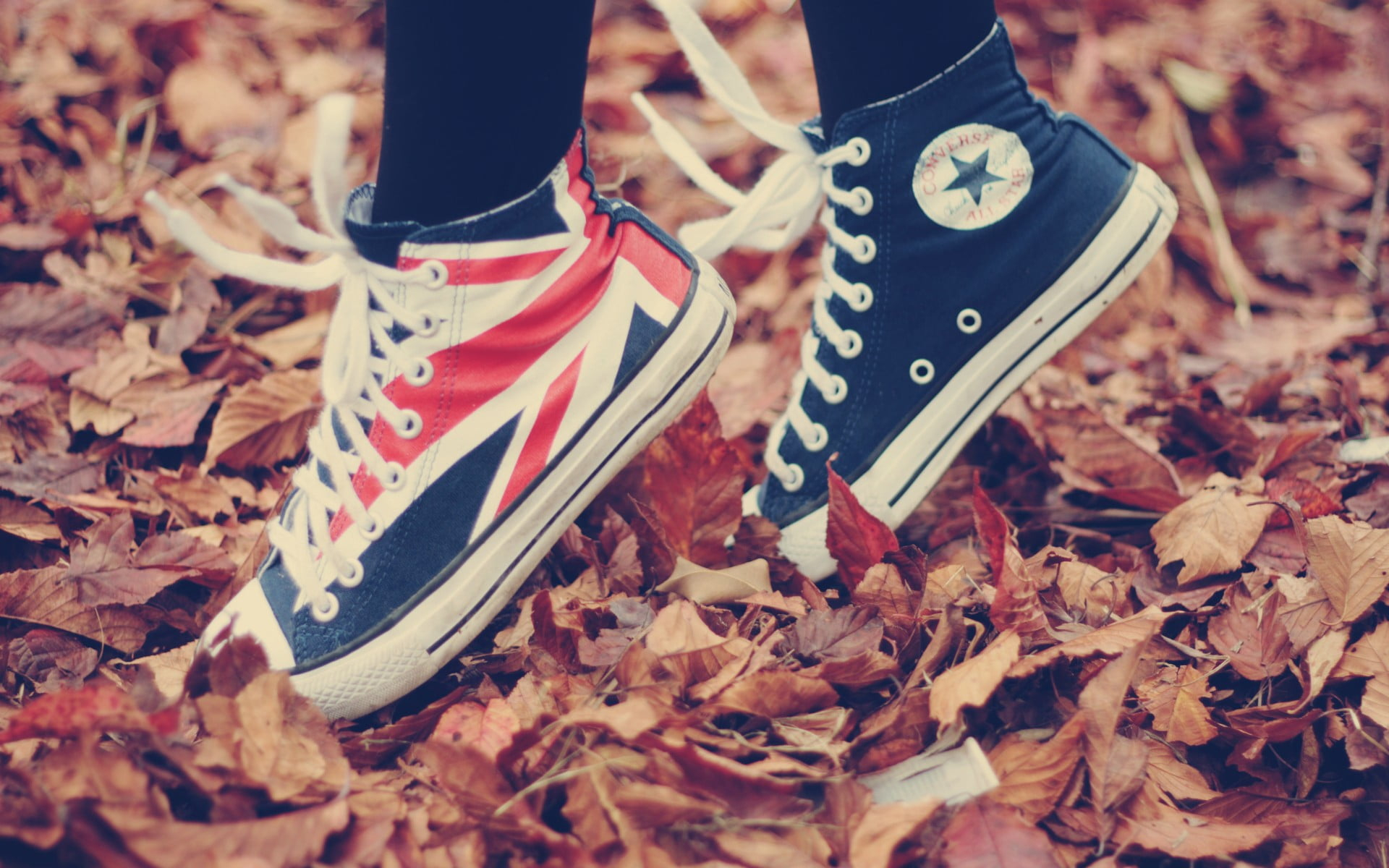 Blue-and-red Converse All-Star high-top sneakers wallpaper, fall
