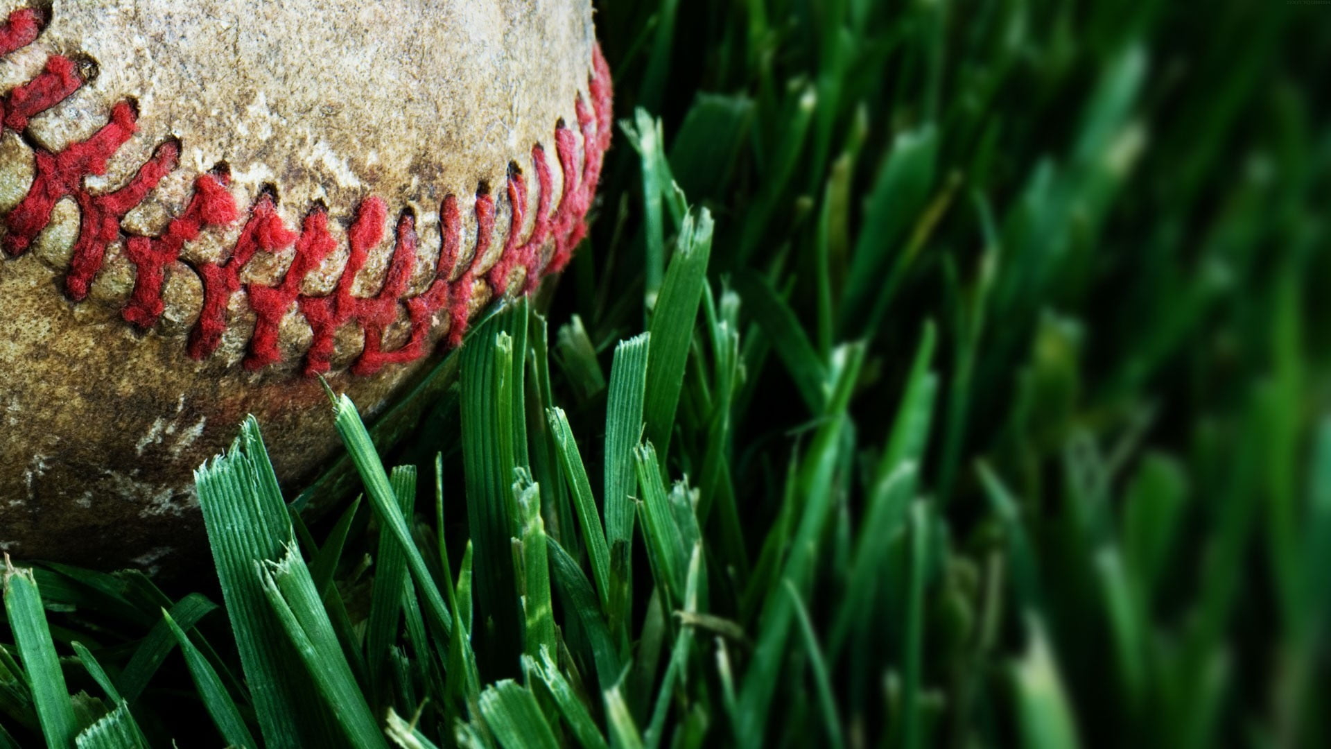 White baseball wallpaper, macro, grass, balls, green color, growth, close-up