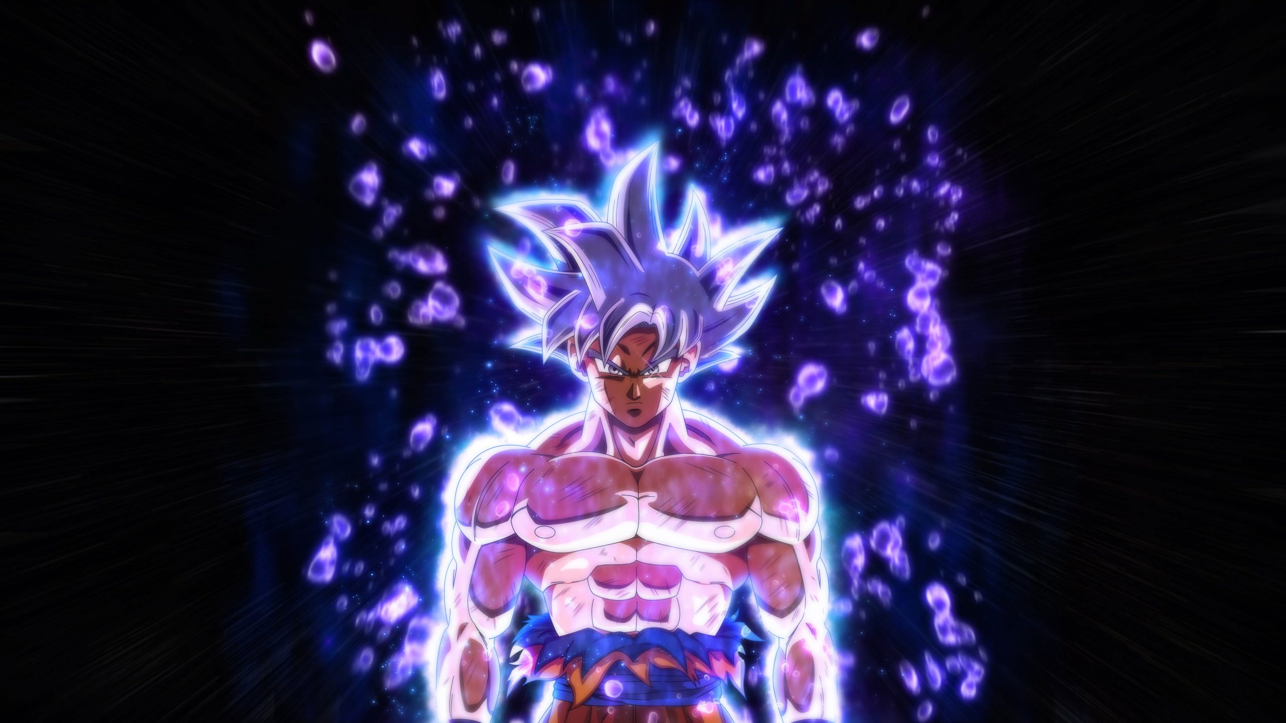 Son Goku Ultra Instinct digital wallpaper, Dragon Ball Super