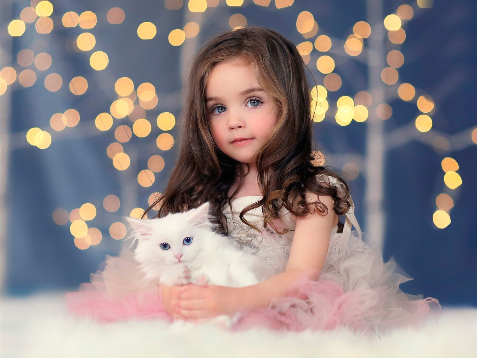 Cute girl wallpaper, white kitten, lights, bokeh
