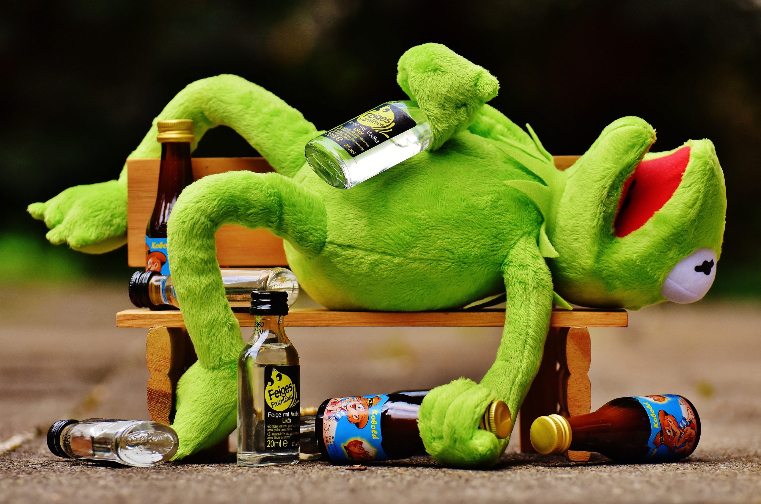 Kermit the Frog with glass bottles lying on wooden bench wallpaper, drink
