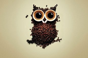 Owl wallpaper, beans, coffee beans, funny, cup, cups