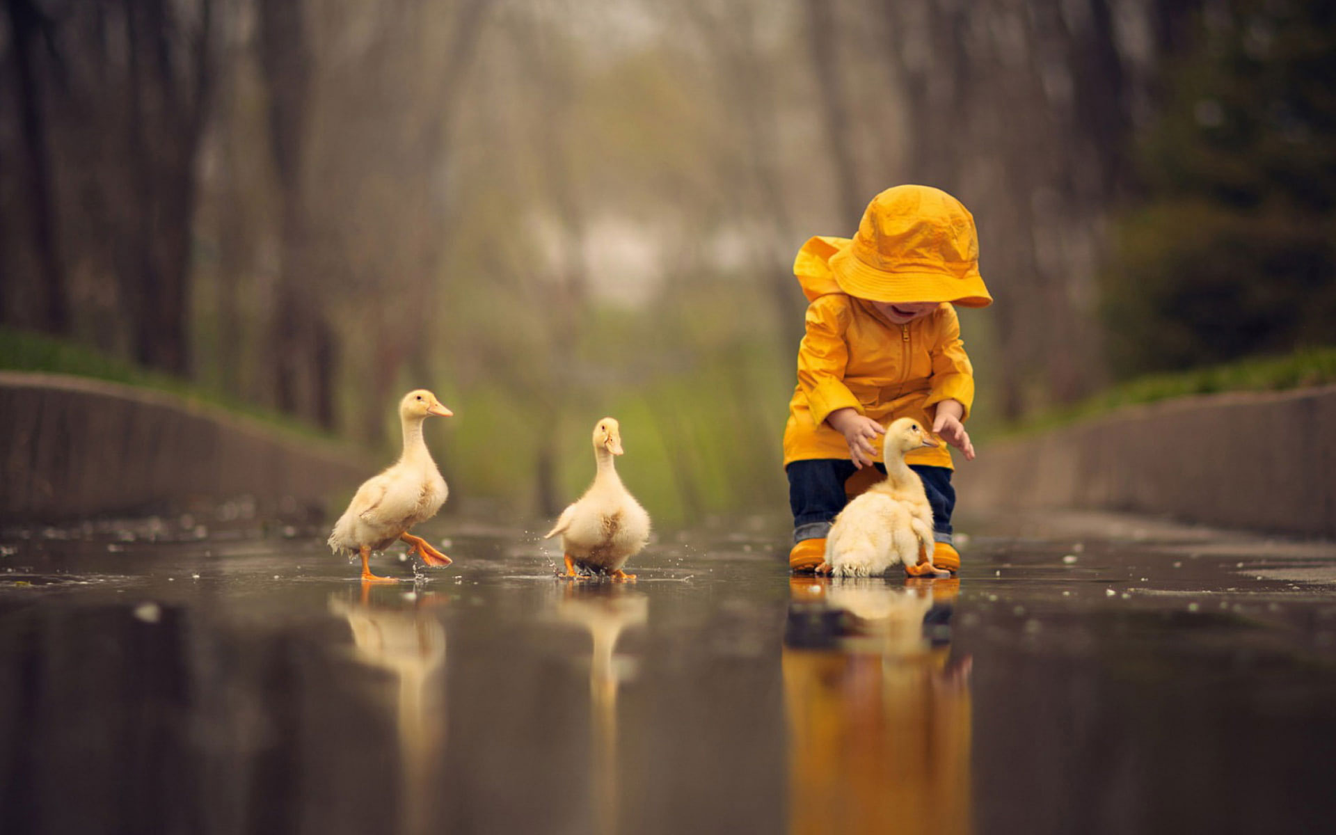 People wallpaper, childhood, rain, children, cubs, goose, play, funny