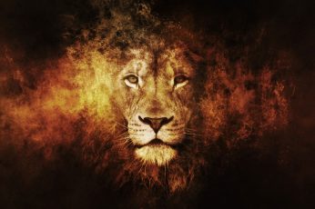 Lion digital wallpaper, animals, texture, digital art, big cats