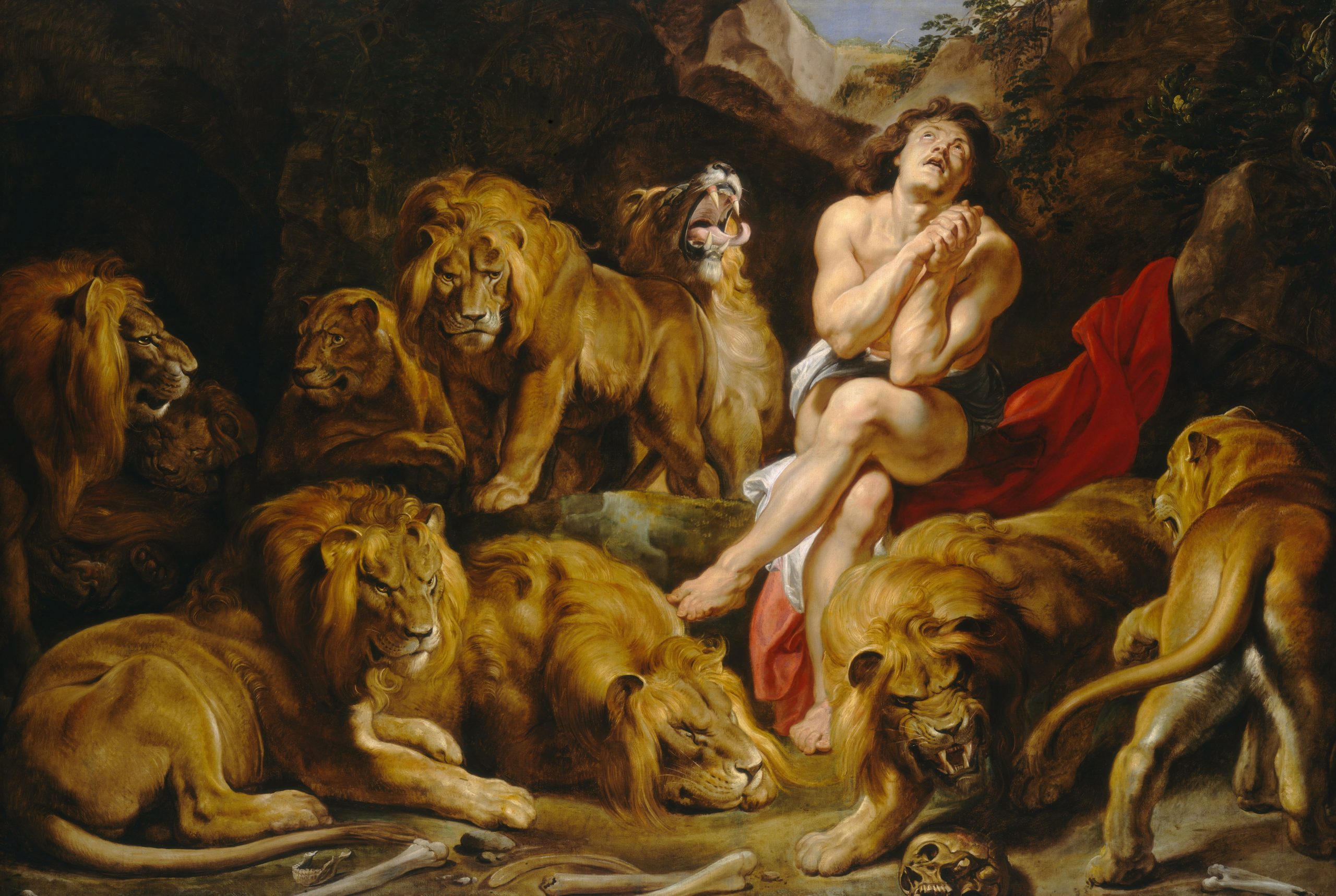 Man surrounded by lion and lioness painting wallpaper, animals, picture