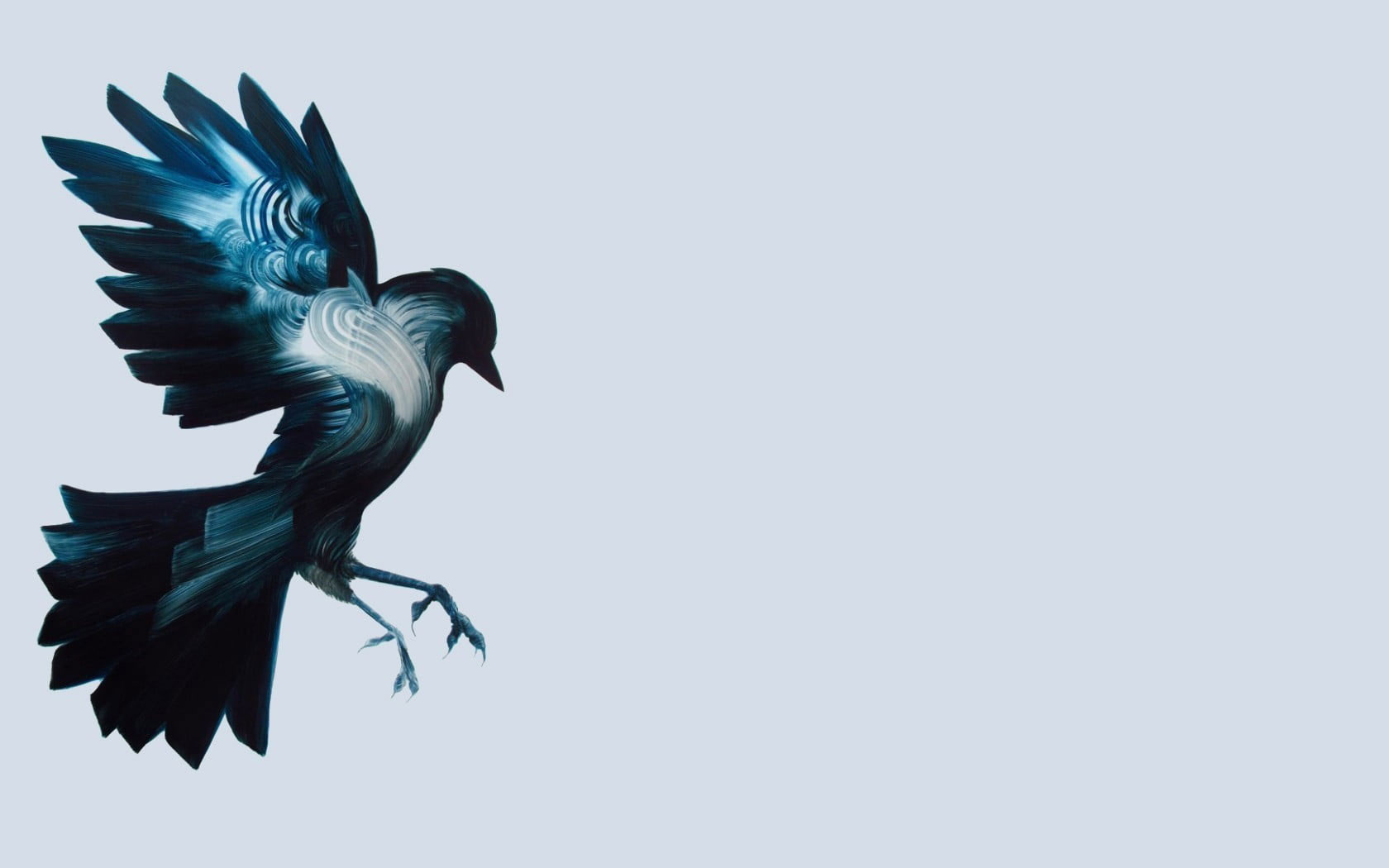Vector illustration of blue and white bird wallpaper, birds, artwork, simple background