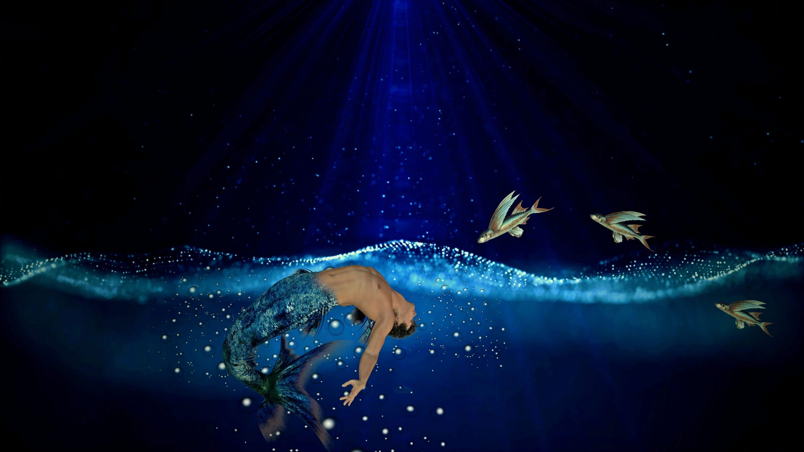 Mermaid in body of water near flying fish painting wallpaper, Sea, Water