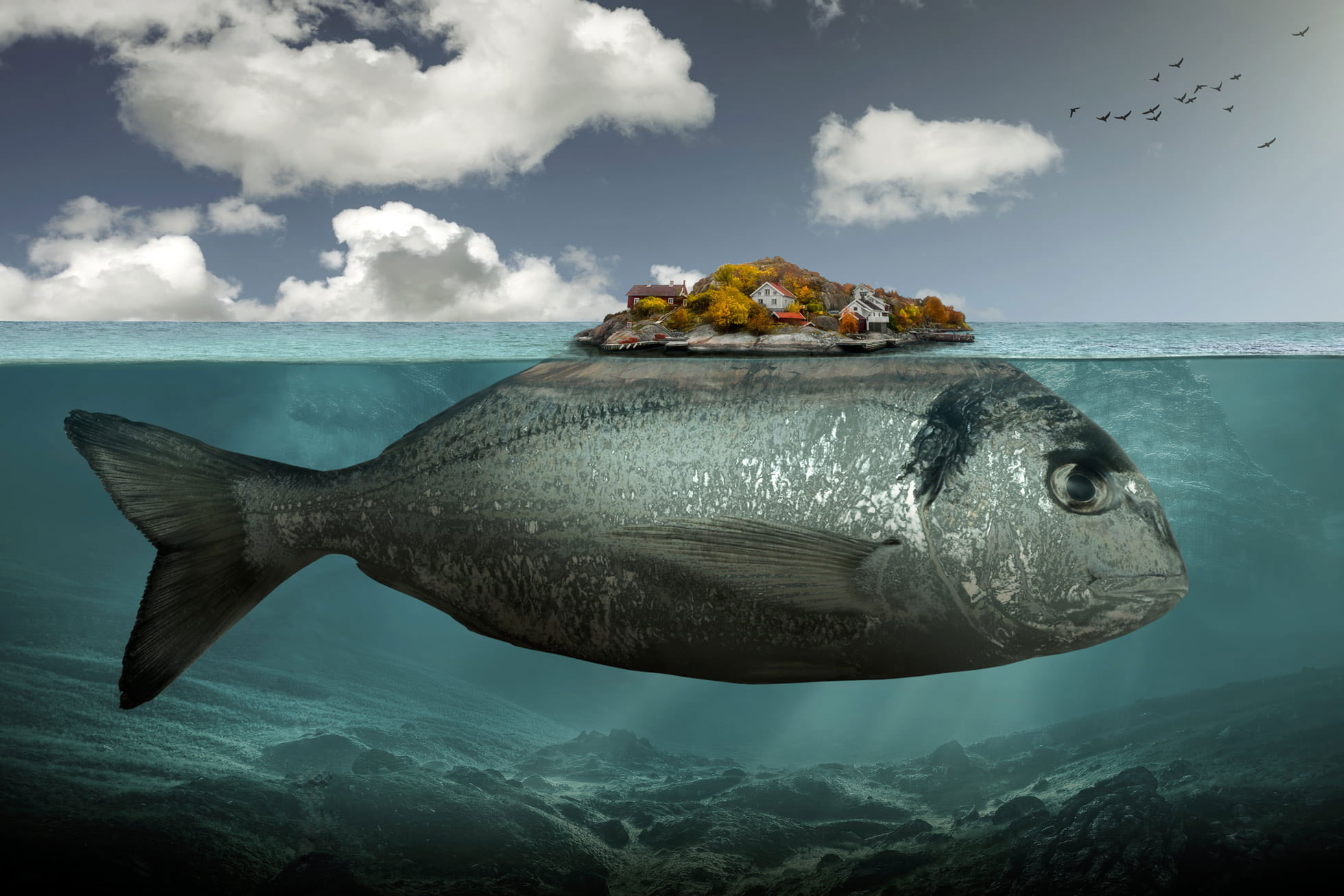 Gray fish illustration wallpaper, artwork, digital art, surreal, underwater