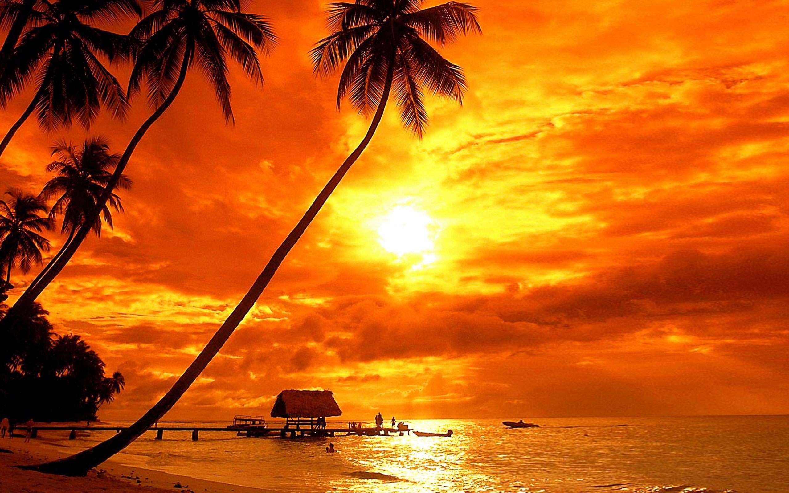 Bora Bora Tropical Sunset Beach Palm Trees Red Sky Clouds Ultra Hd 4k  Wallpaper For Desktop Laptop Tablet Mobile Phones And Tv 3840х2400 -  Wallpaperforu