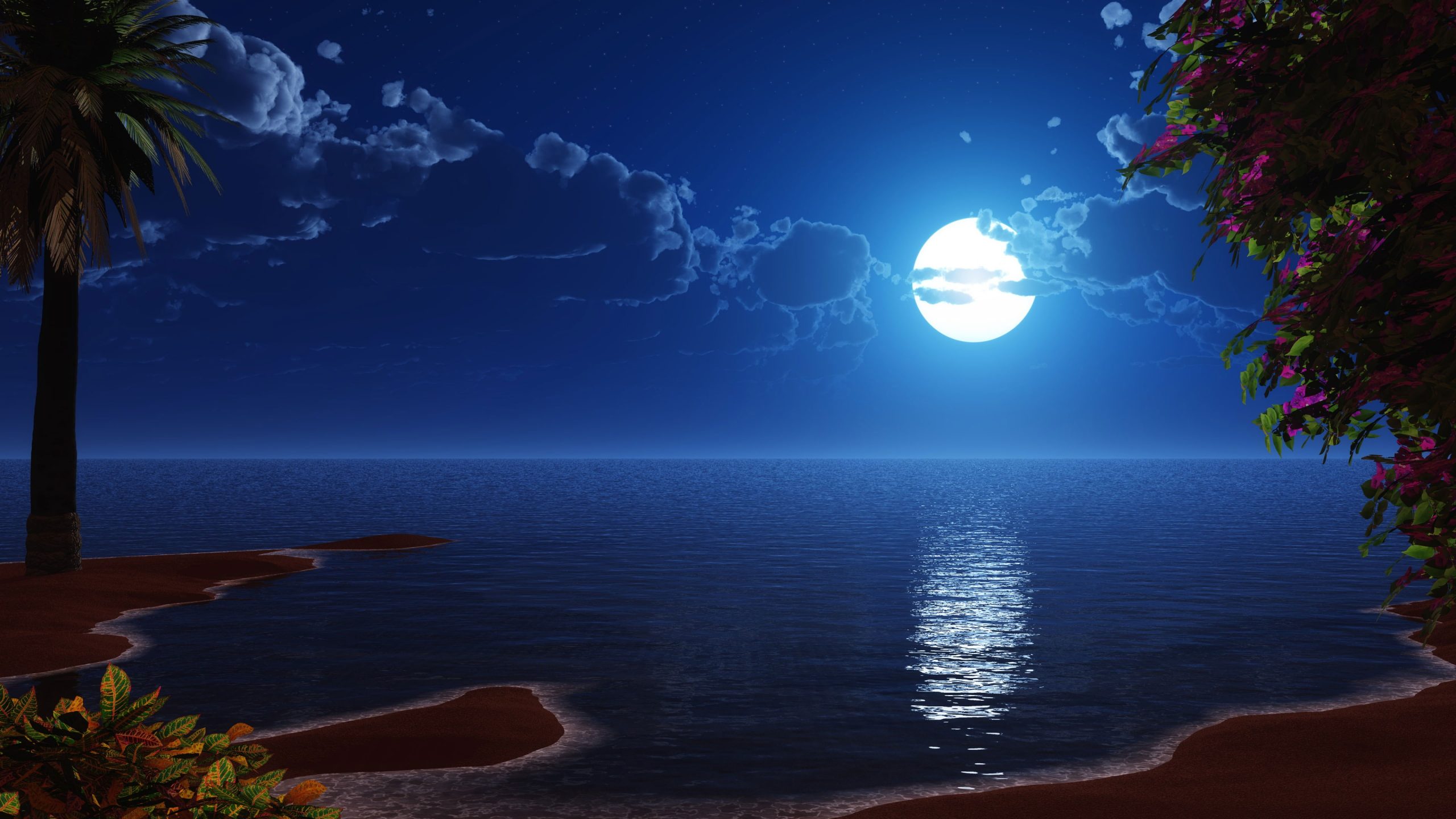 Fantasy landscape wallpaper, beach, night sky, seascape, ocean, reflection