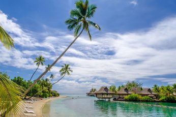 Beach wallpaper, sea, resort, house, palm trees, tropical