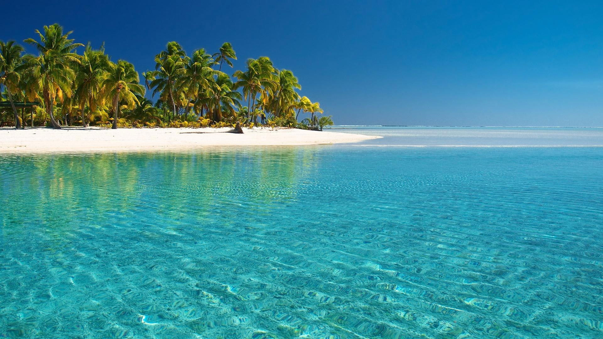 Tropical White Beach & Crystal Clear Water wallpaper, blue sea; white sand; green coconut tree