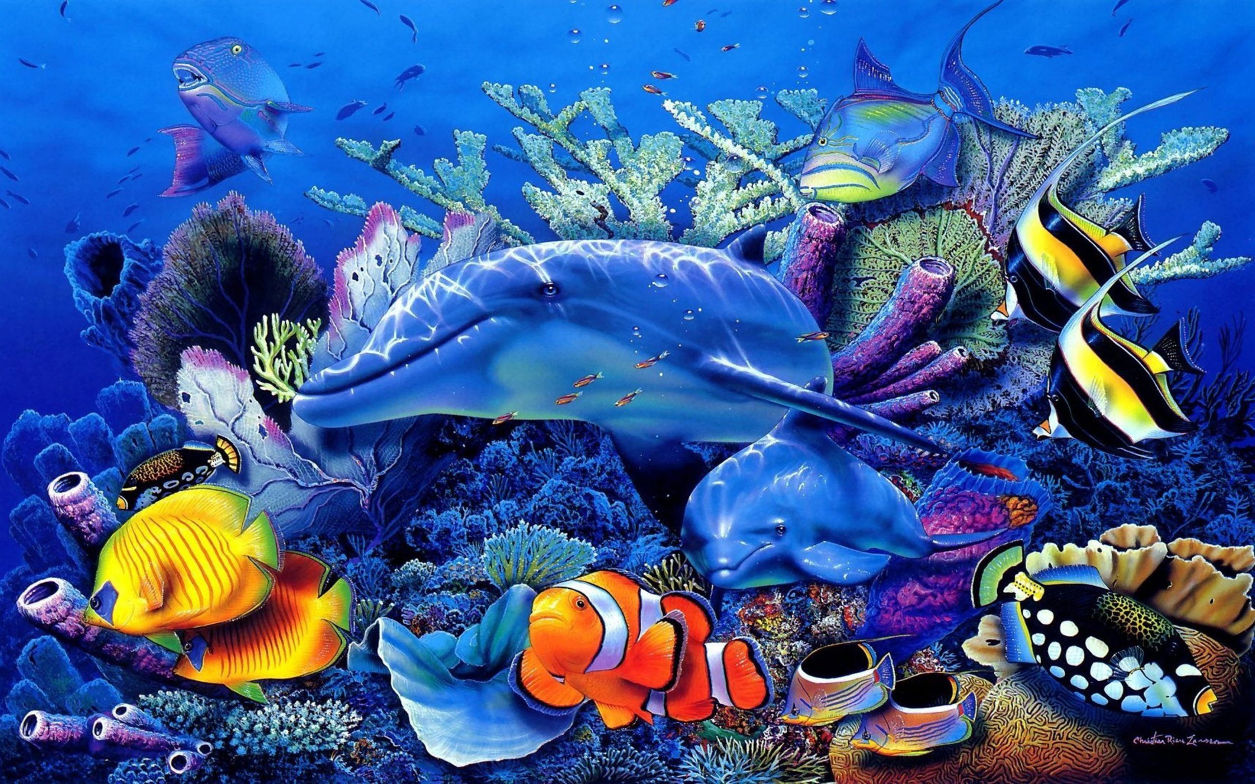 Ocean Underwater World Dolphin Coral Exotic Tropical Fish wallpaper, Wallpapers For Cell Phone And Laptop