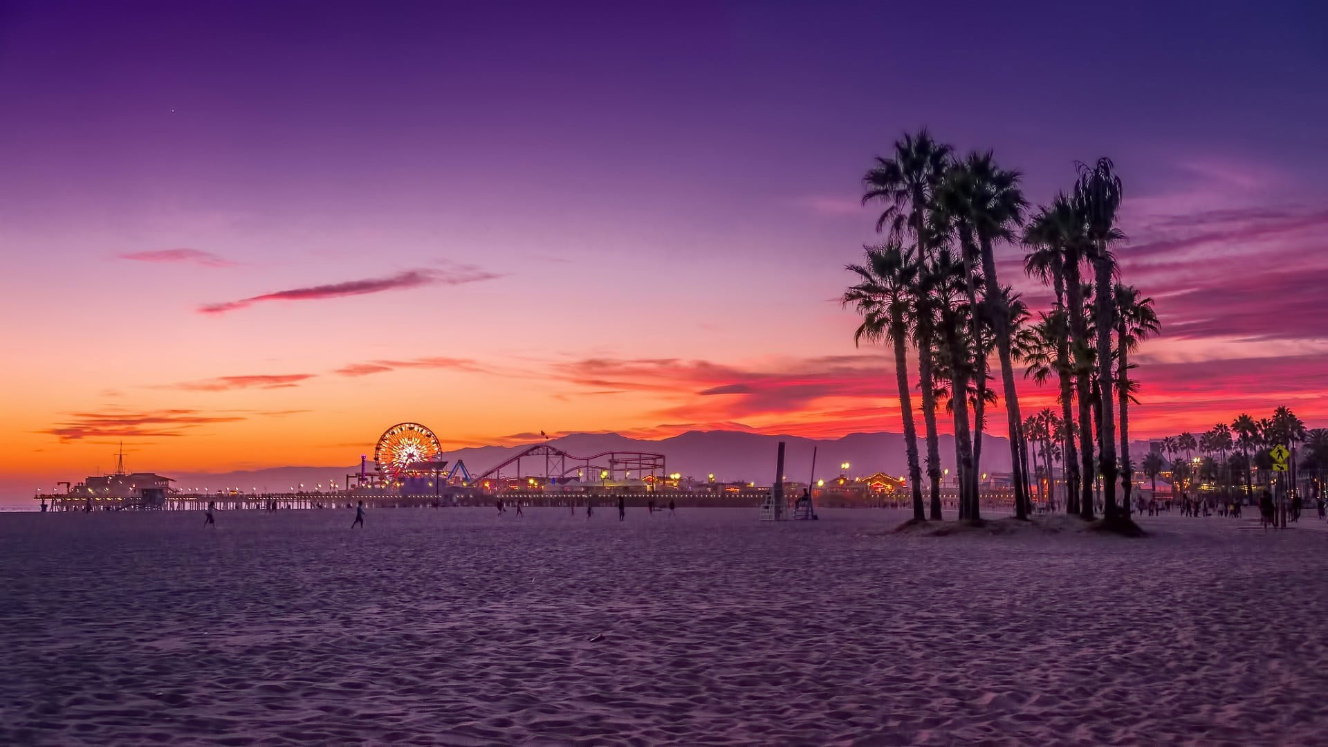 Palm trees digital wallpaper, beach, Los Angeles, sunset, sky