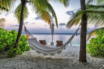 White hammock wallpaper, landscape, hammocks, palm trees, tropical, sea