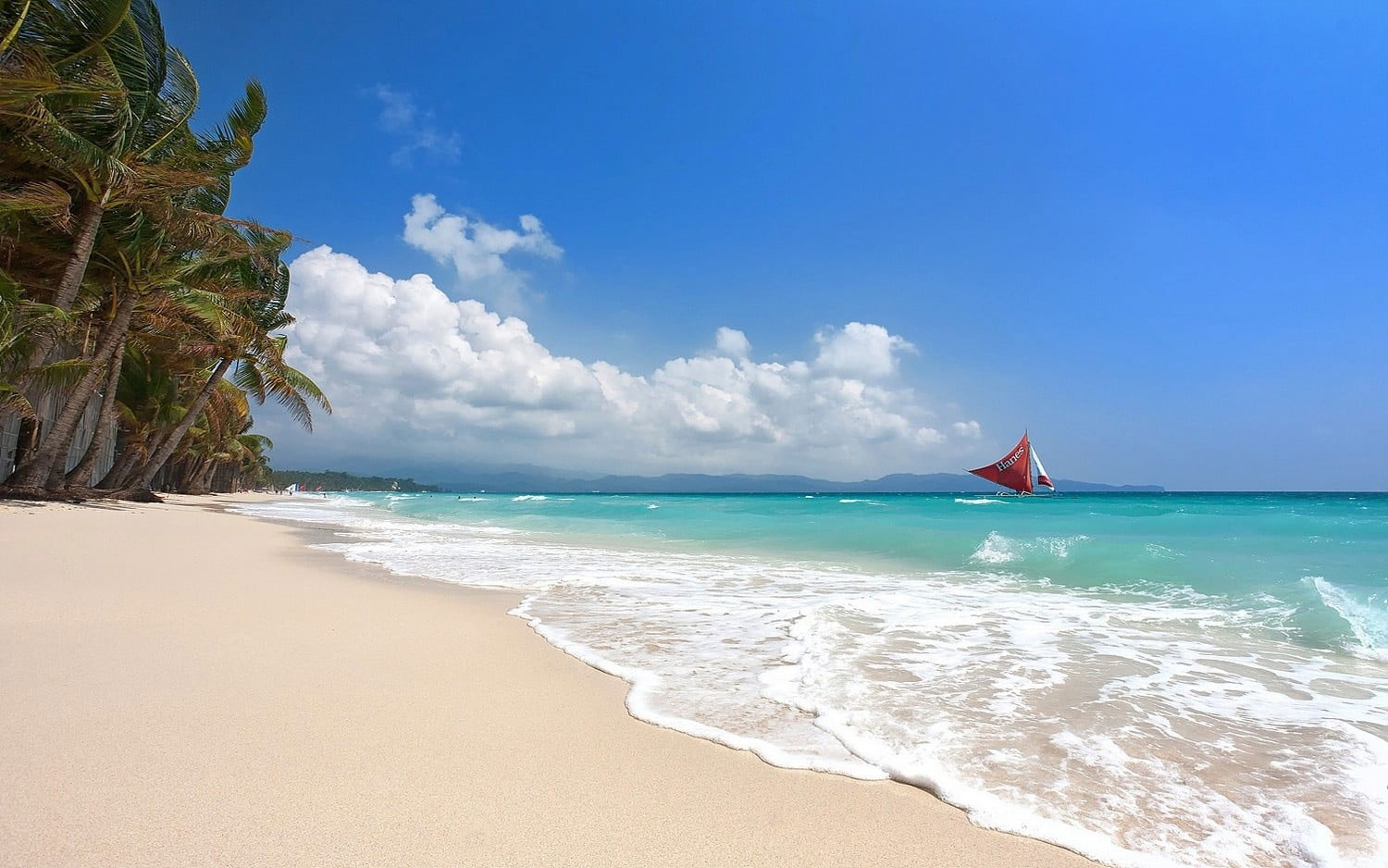 Coconut trees wallpaper, tropical, sailboats, beach, Boracay, island, Philippines