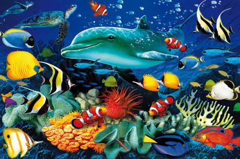 Ocean Underwater World Marine Life Dolphin Sea Turtle Colorful Tropical Fish wallpaper, Coral Wallpaper For Pc, Tablet And Mobile Download 1920×1200