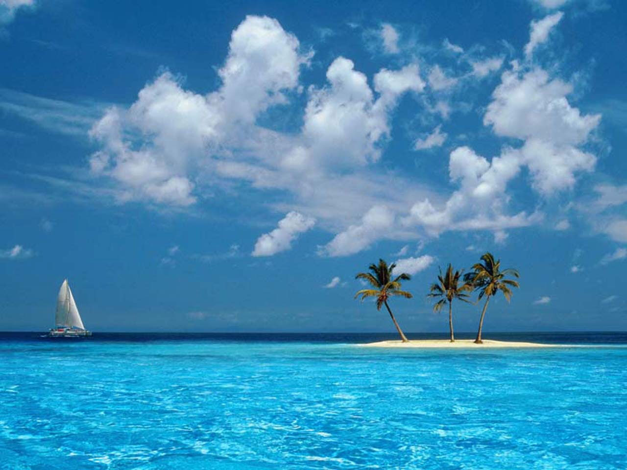 Ocean boat tropical windows xp islands palm trees skyscapes 1280×960 Nature Oceans HD Art wallpaper