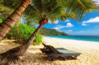 Tropics wallpaper, caribbean, palm tree, beach, shore, vacation, sky