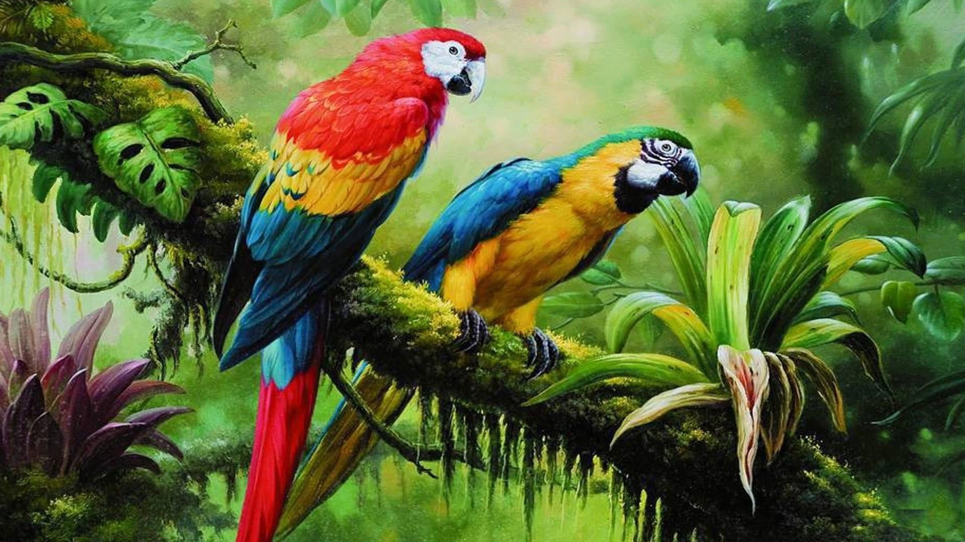 Bird wallpaper, parrot, jungle, brach, parrots, painting art, birds, tropical forest
