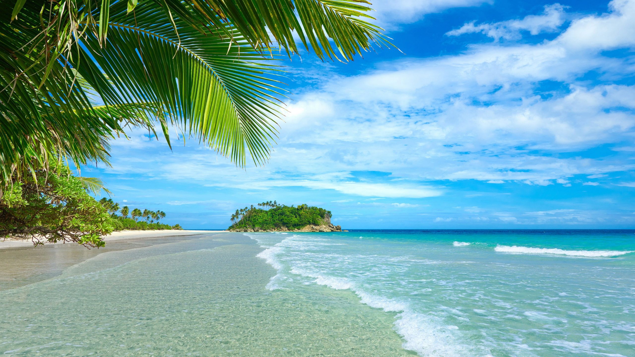 Blue sea and sky wallpaper, beach, coast, palm trees, tropical, water