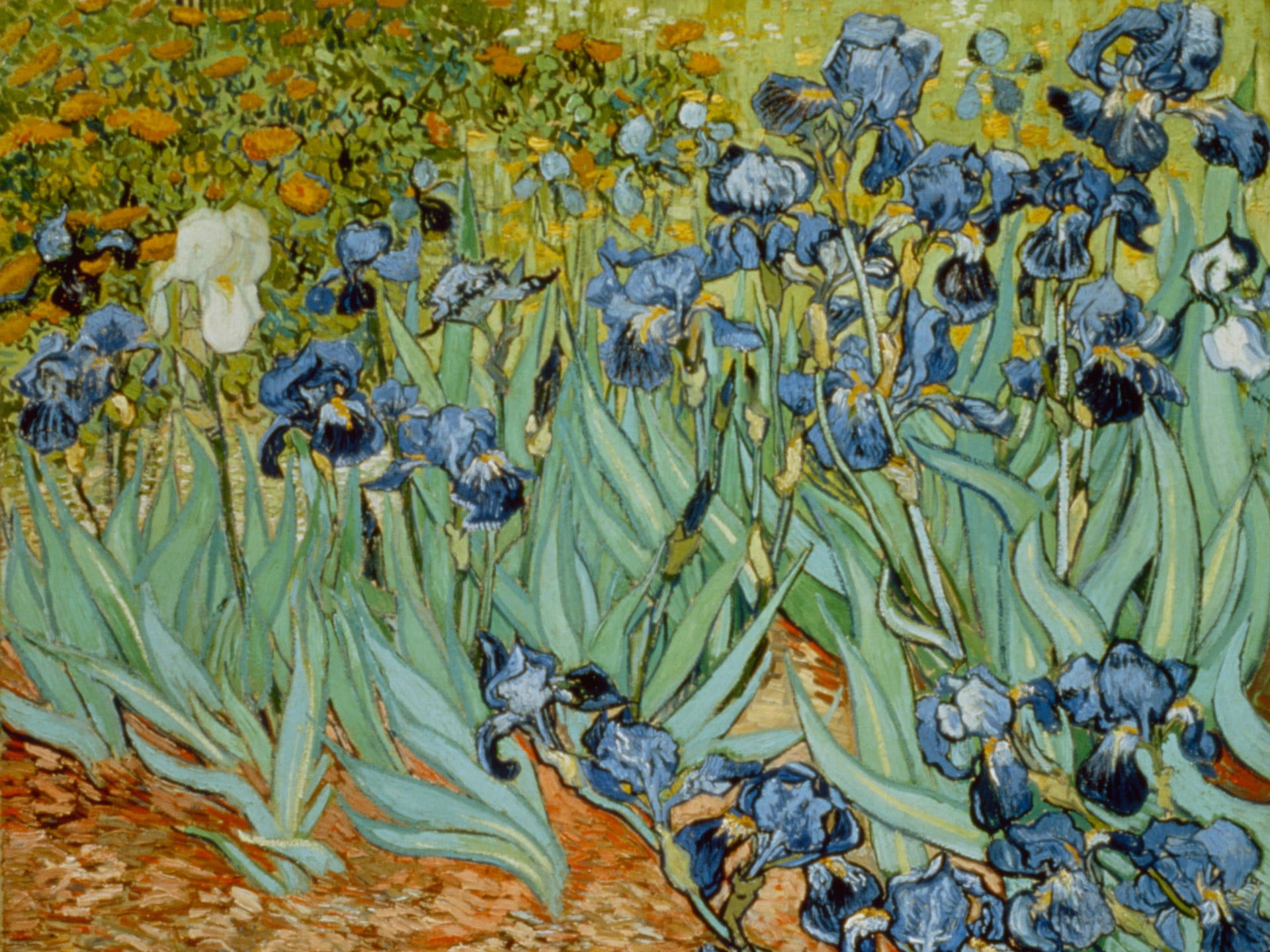 Blue and green floral painting wallpaper, Vincent van Gogh, classic art