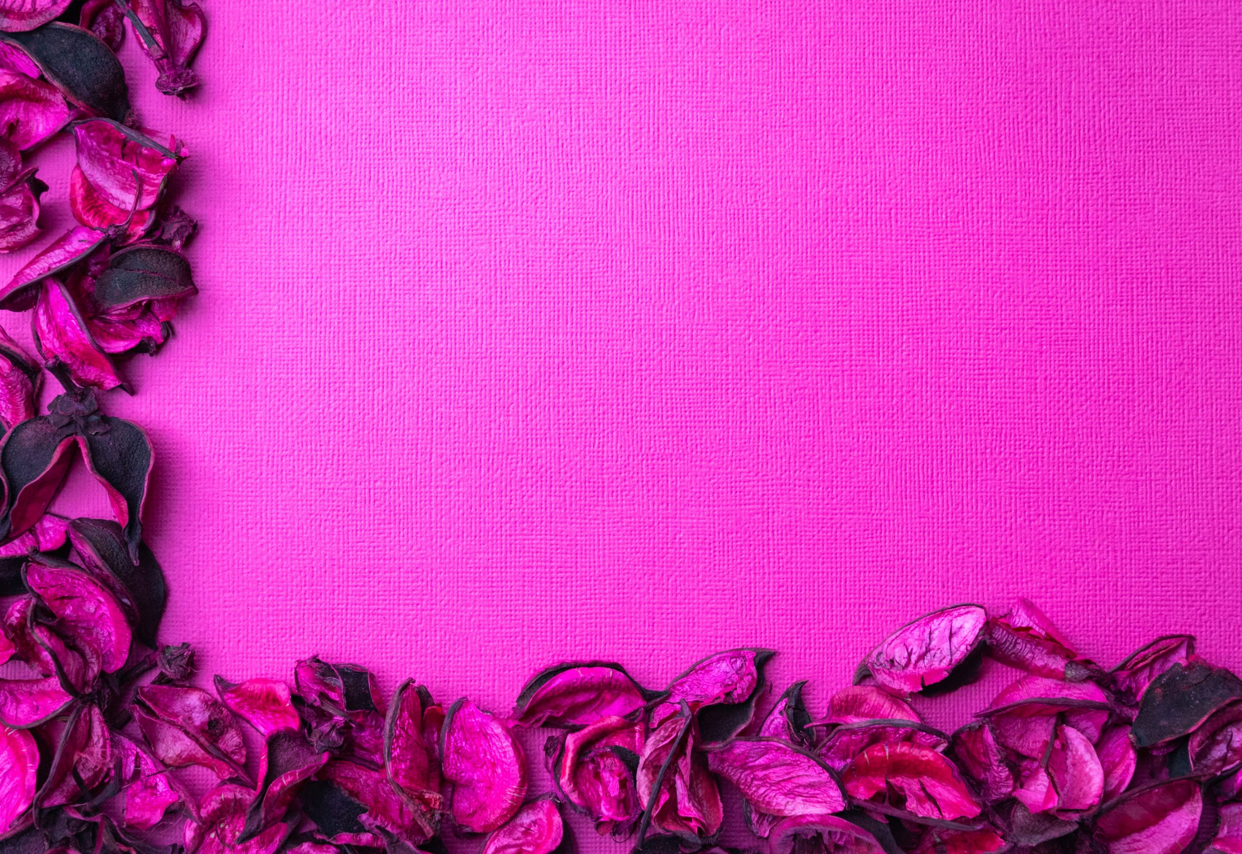 Photo of Pink Flowers on Pink Textile wallpaper, art, close-up, color, design