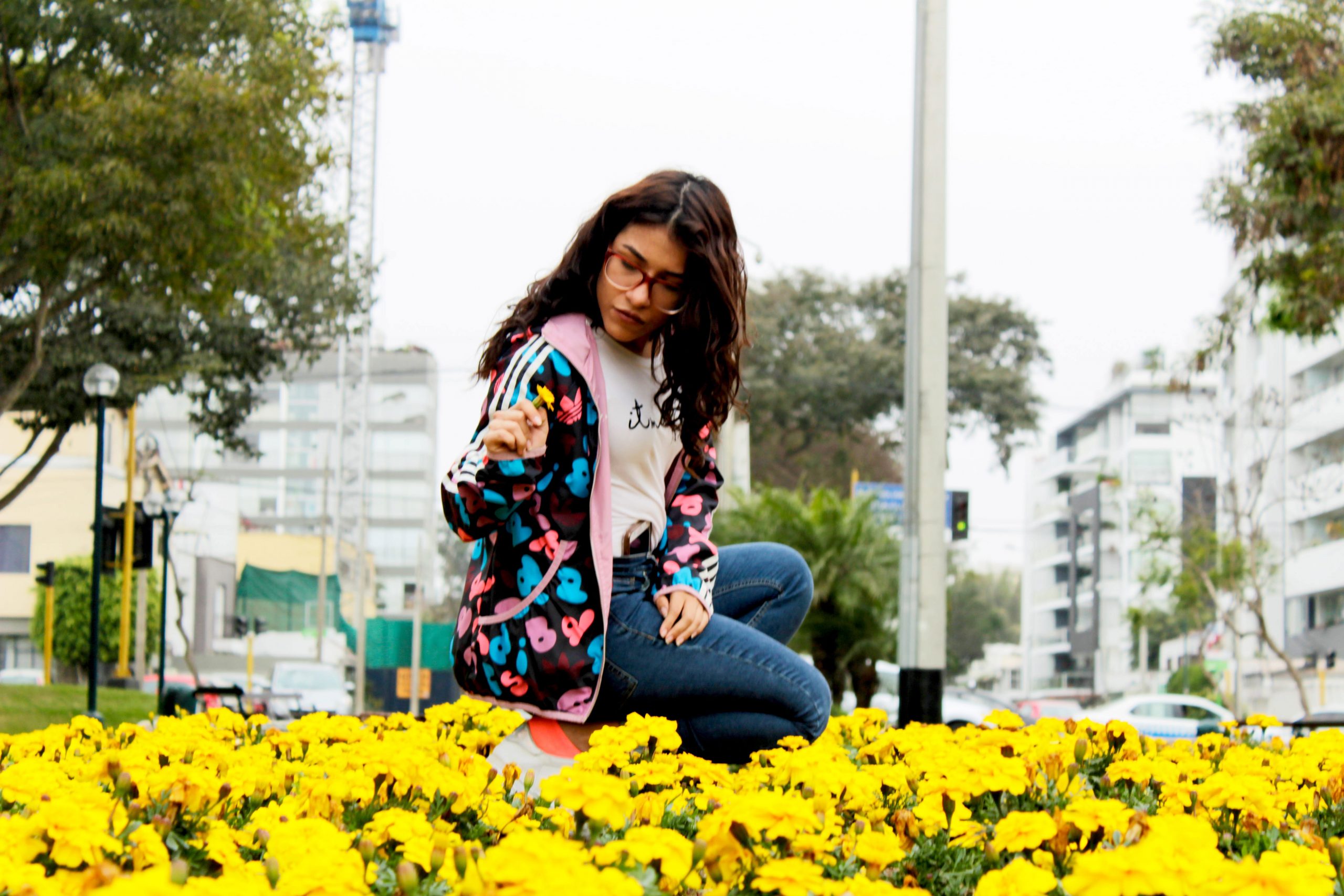 Yellow wallpaper, flowers, girly, tumblr, citygirl, plant, flowering plant